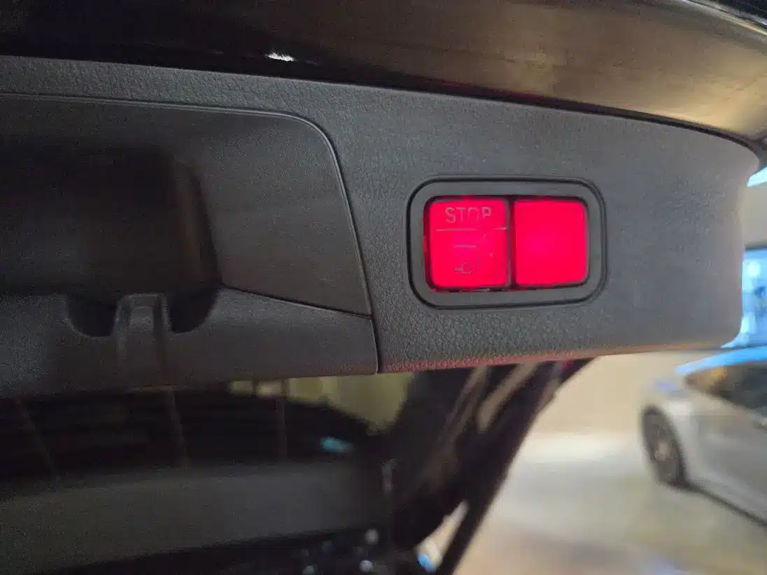 W103421779_STANDARD_17