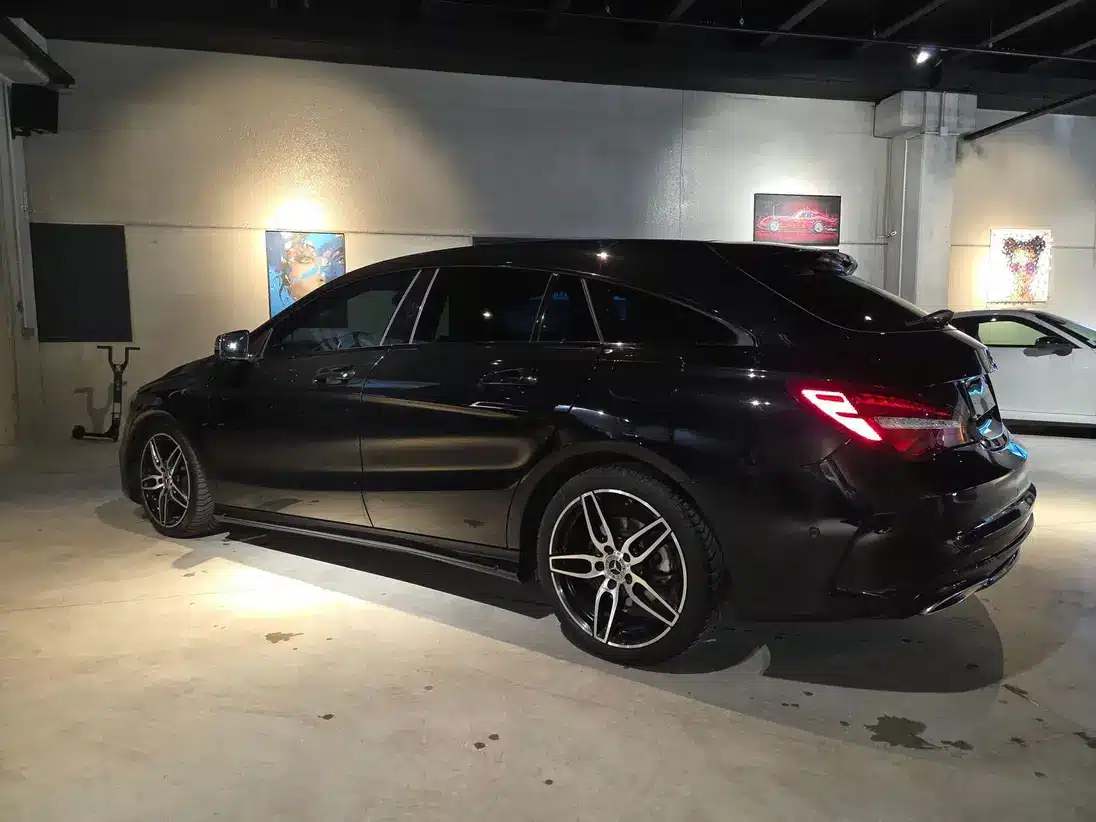 W103426497_STANDARD_3