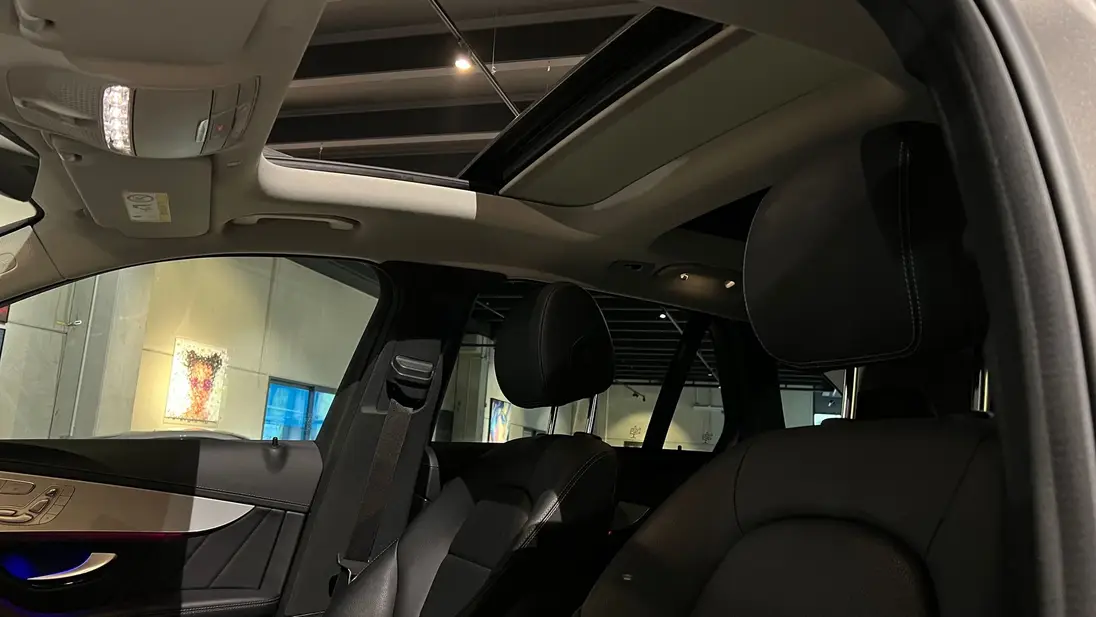 W103426841_STANDARD_18